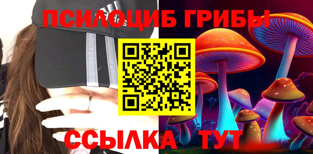 Галлюциногенные грибы мицелий Прохладный